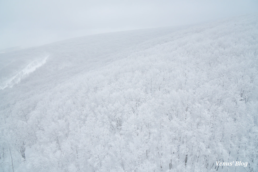 青森賞樹冰,八甲田山樹冰,日本三大樹冰,賞樹冰怎麼穿比較保暖