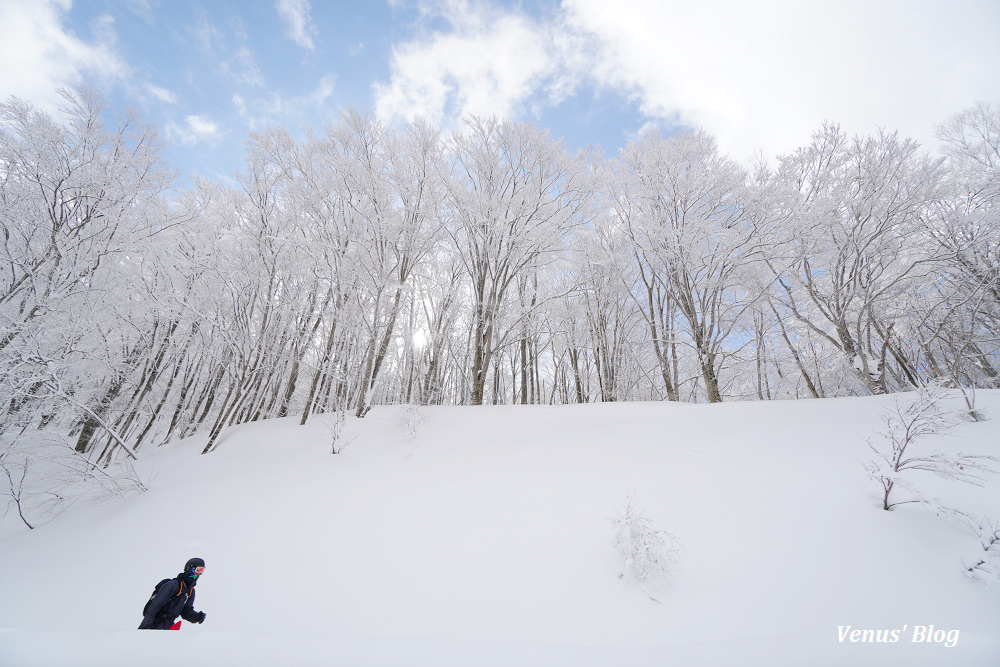 青森賞樹冰,八甲田山樹冰,日本三大樹冰,賞樹冰怎麼穿比較保暖