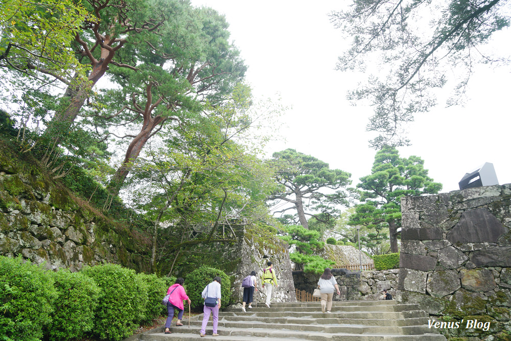 高知自助,高知一日遊,高知城,四萬十川, 日本最後的清流,炙烤鰹魚,日曜市集,日本最大的假日市集,日本最長的露天市集,弘人市場,日曜市,ひろめ市場