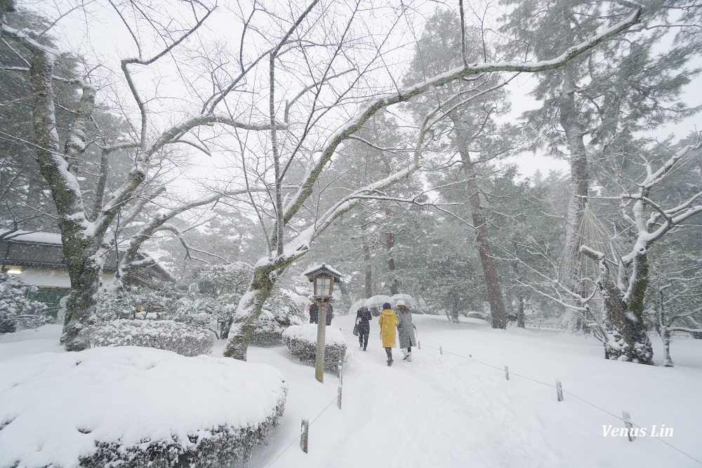 金澤,雪之兼六園,下雪的兼六園,雪吊絕景