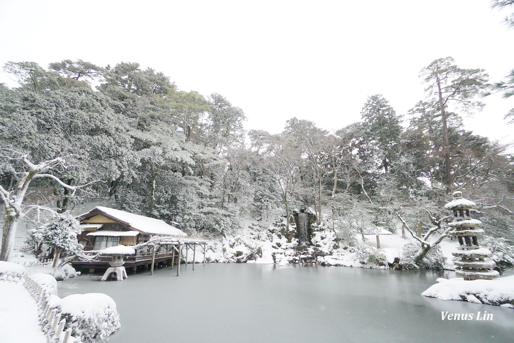 金澤,雪之兼六園,下雪的兼六園,雪吊絕景